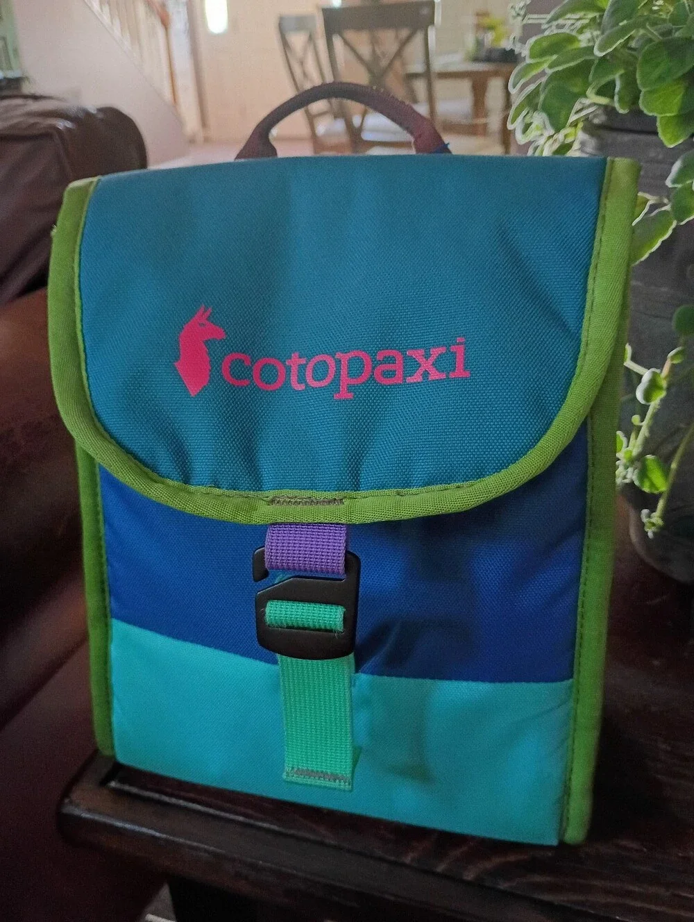 Cotopaxi Del Día Botana 6L Insulated Lunch Bag – One-of-a-kind-colors!